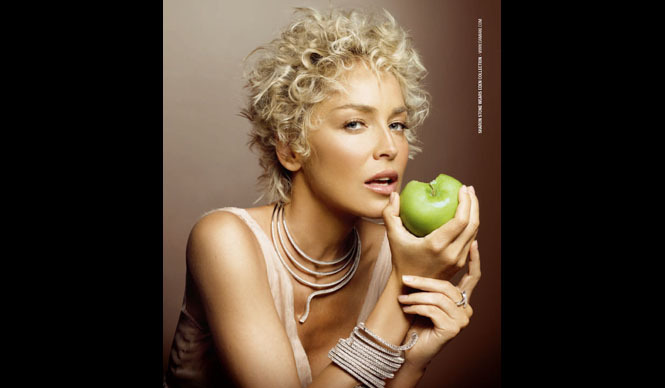 DAMIANI ｜シャロン・ストーン来日プレゼンテーションの読者をご招待