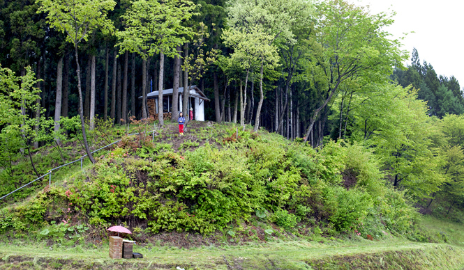 Twiggy（ツイギー）｜Vol.5　ヘアスタイリストの“お米づくり”