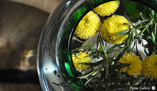 塚田有一│みどりの触知学 第4回：冬の太陽へ