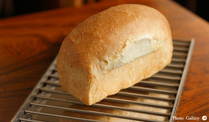 TOKYO PREMIUM BAKERIES｜第8回　ダンディゾン