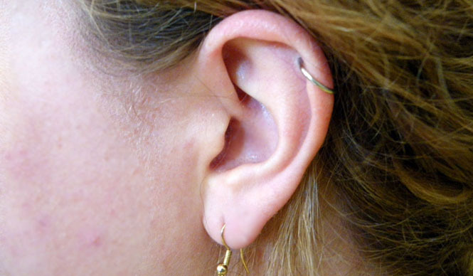 マシュー・ワォルドマン｜Vol.11 僕のアルバム・オブ・ザ イヤー 2009