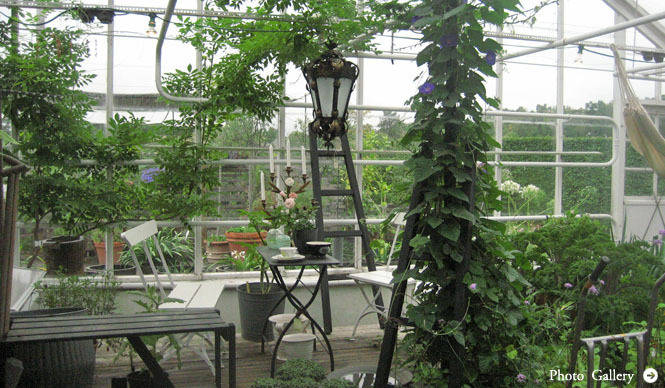 塚田有一│みどりの触知学 第5回：温室について