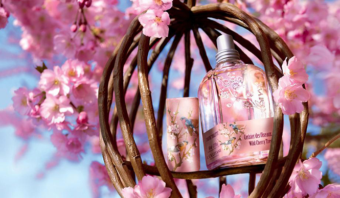 L'OCCITANE｜ロクシタンの新しい春の香り「ワイルドチェリーツリー」シリーズ登場