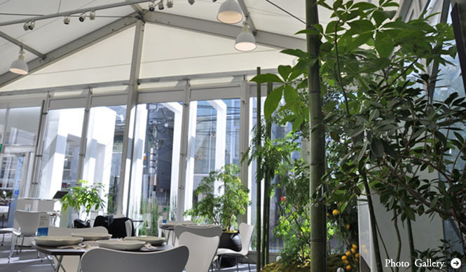 塚田有一│みどりの触知学 第6回：BMW Studio ONE＝温室について