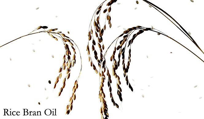 ナチュラルコスメ特集|キーワード 「コメヌカ油」