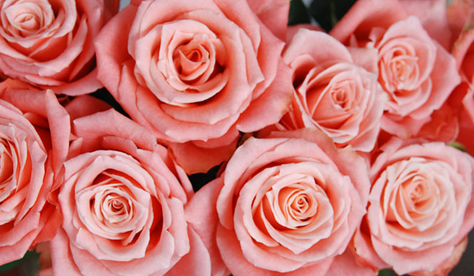 和気雅美｜ホワイトデイに、花を贈る