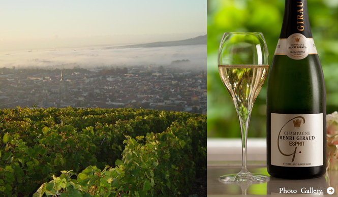 HENRI GIRAUD｜幻のシャンパーニュ「アンリ・ジロー」の魅力とは？