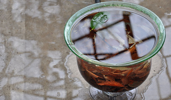 塚田有一｜塚田有一個展[Faka はか] 開催