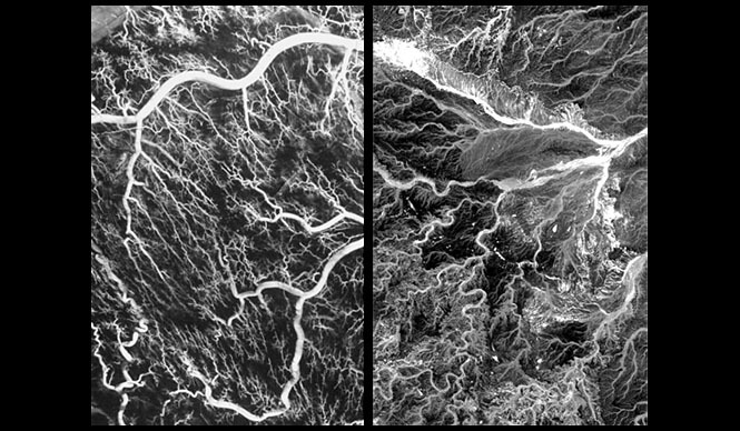 連載・坪井浩尚｜第一回 「視座」