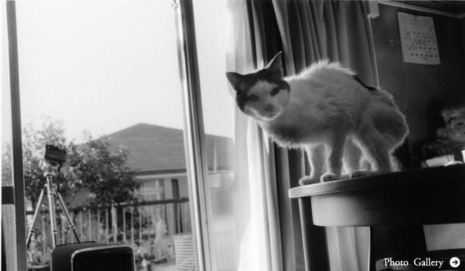 ラットホールギャラリー｜荒木経惟展 「センチメンタルな旅 春の旅」