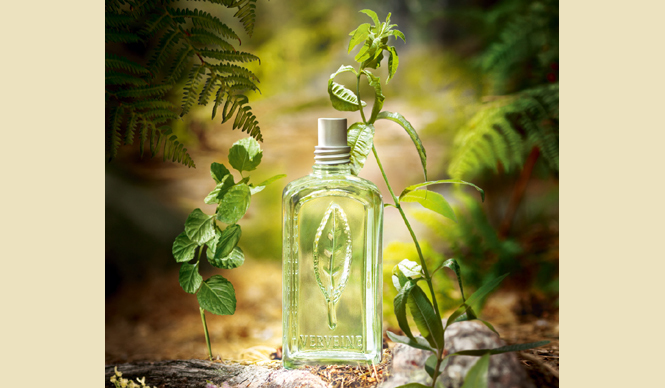 L'OCCITANE｜夏のハートを虜にする、禁断のヴァーベナフレグランス