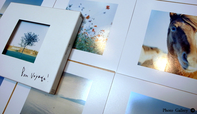 TOMORROWLAND｜アルバム『Bon Voyage！　Message from TOMORROWLAND』