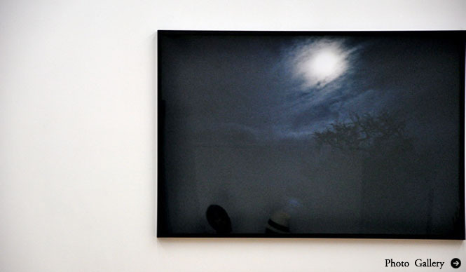 連載・塚田有一│みどりの触知学 第8回：うつ　うつろひ　うつつ