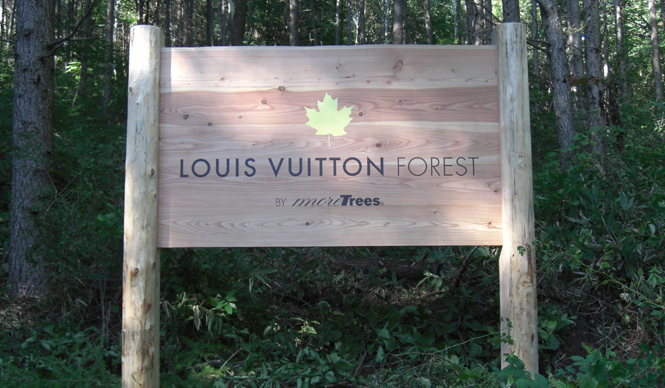 more trees×LOUIS VUITTON｜特別シンポジウム「美しい未来の地球に向けて…」