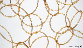 特集｜My Favourite Jewellery AIRY