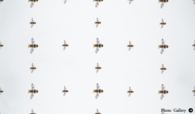 特集|My favourite jewellery Motif & Design