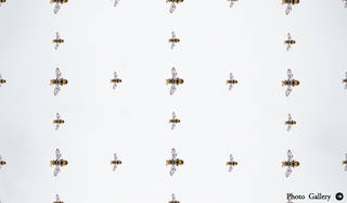 特集｜My favourite jewellery Motif ＆ Design