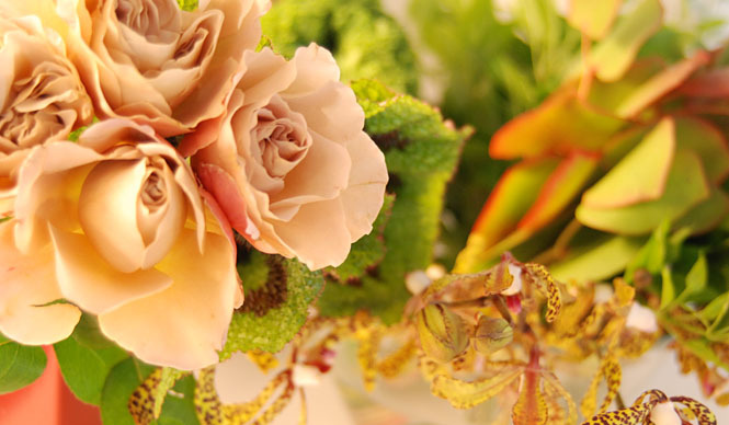 連載・和気雅美｜Bathing Flowers“お花も入浴中”