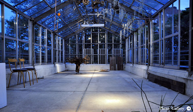 連載・塚田有一│みどりの触知学 第9回：温室企画のイベント「月夜の読書室」へのお誘い