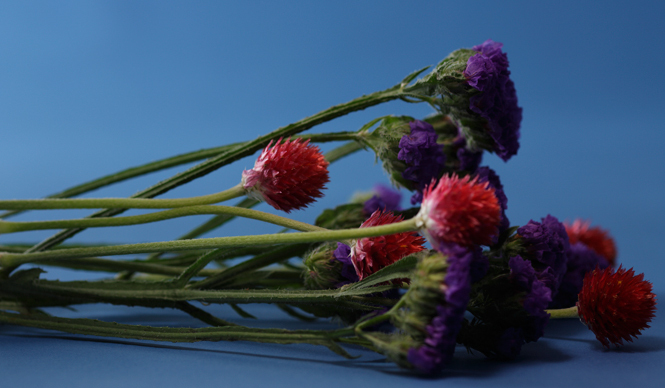 速報｜Beauty News Express 10月