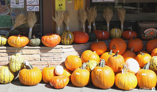 連載・Yoko Ueno Lewis｜暮らしノート・第2回 「パンプキンオレンジの街」