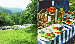 連載・藤原美智子｜2010年10月エッセイ「自然遊びがマイブーム」