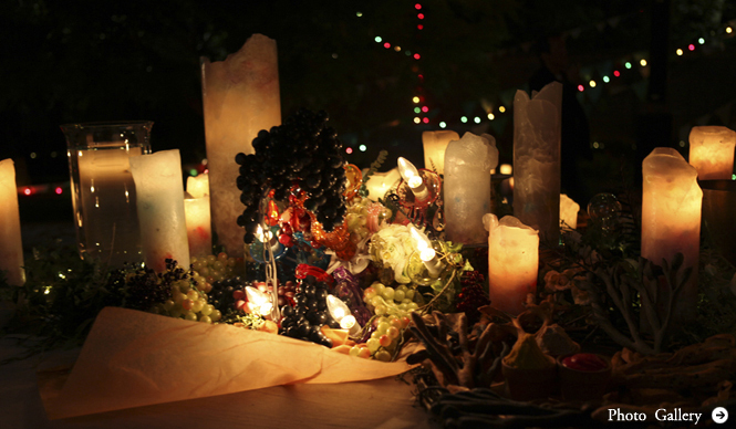 TWIGGY|祝20周年! 松浦美穂インタビュー