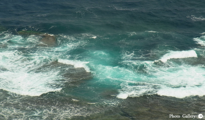 シンジョウコウジ × リコーCX4 「ふとした瞬間、見えるもの」