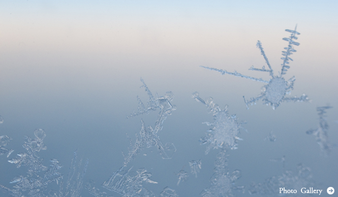 リコー｜川内倫子（写真家）×リコーGXR＋S10