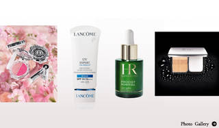 藤原美智子｜ふじわらみちこ｜連載｜2010年12月エッセイ｜今年のお気に入り、“ツルン・ツヤ”にグランプリ決定！