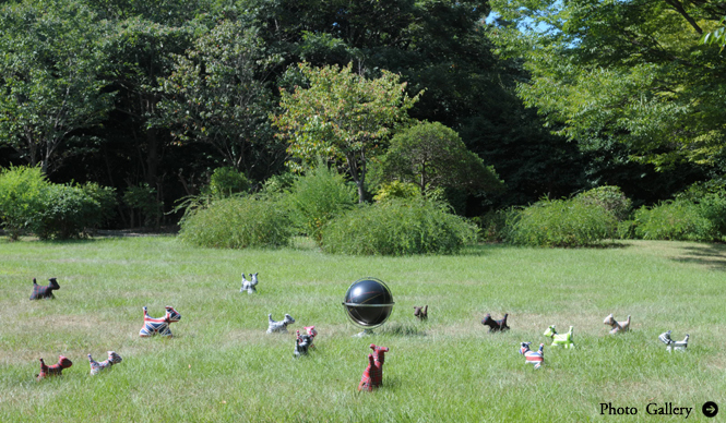 INTERVIEW｜写真家 堀 清英　写真集『いぬまるけ　Dogs…anywhere』刊行