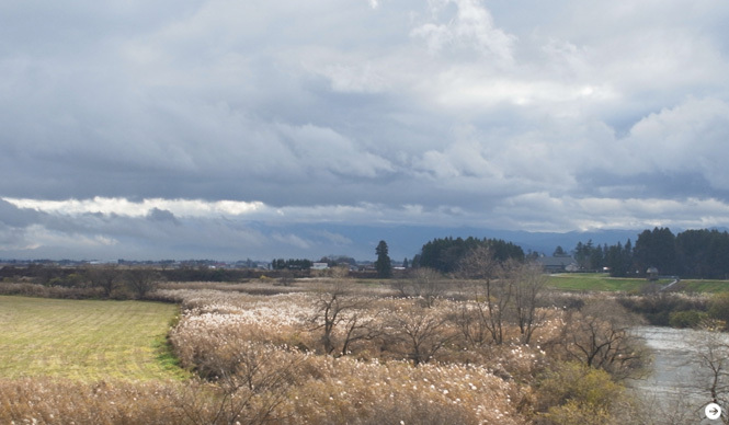 RICOH｜RICOH GR DIGITAL III, GXR and CX4