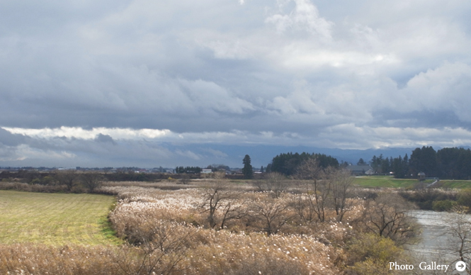 RICOH｜鶴田真由（女優）×リコーGXR+A12