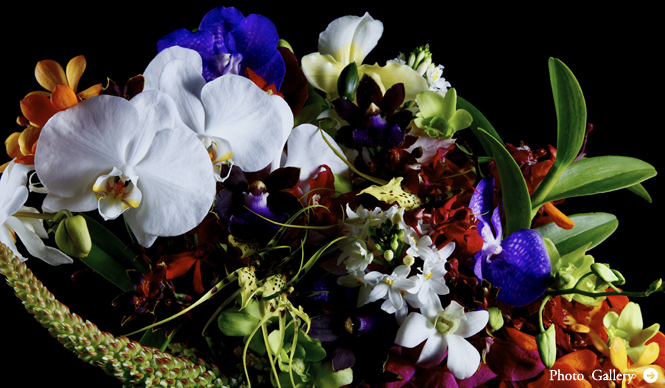 EVENT｜菊地成孔×南 博×東 信による夢の共演！　「LAFORET SOUND MUSEUM 2011」