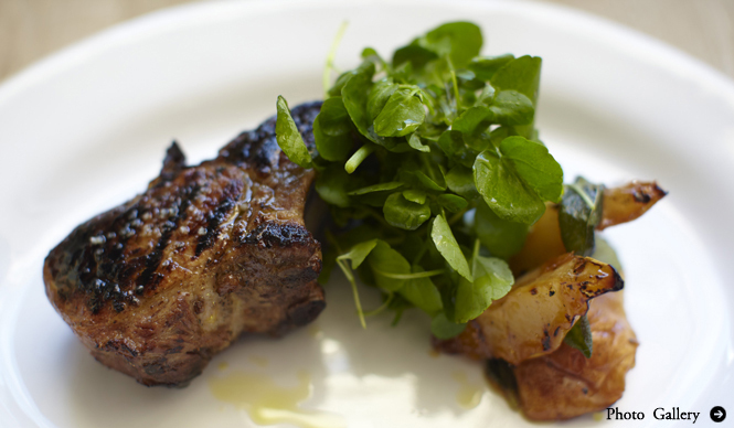 Rock My World !|いま、旬な英国へ|レストラン-バーべコア