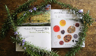 連載｜藤原美智子｜ハーブの力は凄い！