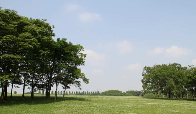 松浦俊夫｜思わず身体も軽くなる、美しい季節を楽しもう！