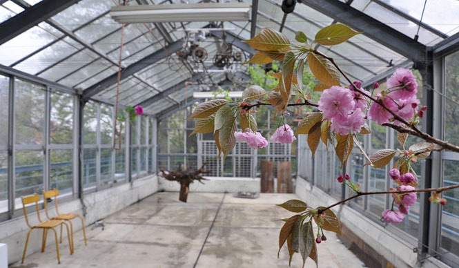 連載・塚田有一│みどりの触知学 第12回 ゆく春の読書室