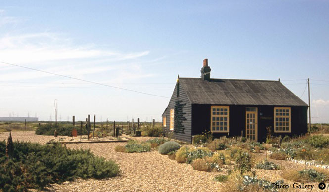 MATSUNAGA Manabu|Vol.3 デレク・ジャーマンの庭