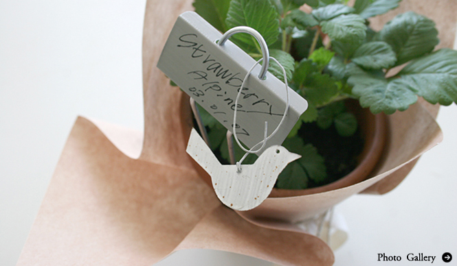 連載・Yoko Ueno Lewis｜暮らしノート・第7回 「テーブルガーデン：自分で楽しむ心の緑化プロジェクト」