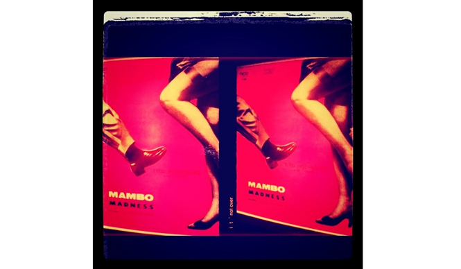 Diary-T 65 アンモニアの夜