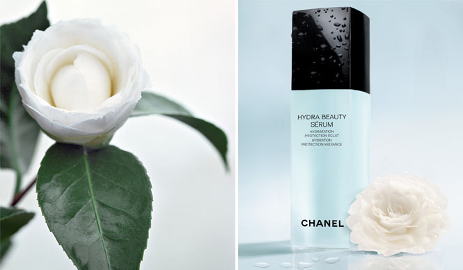 CHANEL|多機能保湿美容液「イドゥラ ビューティ セラム」