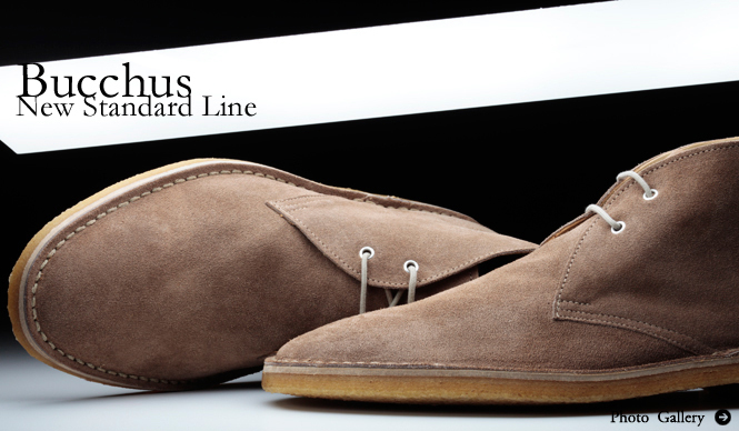 Bucchus|ニュースタンダードライン登場!