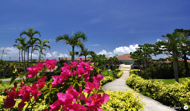 organic elements｜沖縄『はいむるぶし』にスパ・トリートメントメニュー誕生