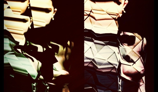 Diary-T 93 safari life