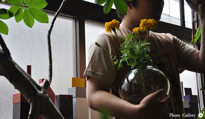 連載・塚田有一│みどりの触知学 第13回 「リムグリーン」リスタート