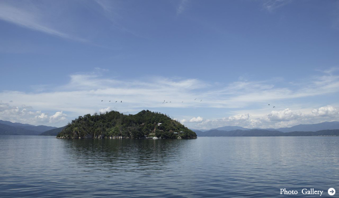 Art & Architect Festa｜「建築学生ワークショップ滋賀2011」が開催