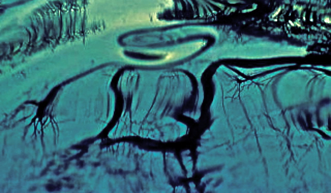 Diary-T 105 ガラスの海