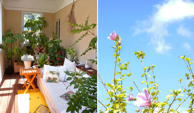 連載｜藤原美智子｜やはり、自然から教わることはたくさんある！