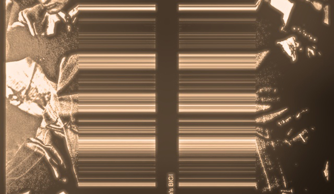 Diary-T 118 Men's BIGI